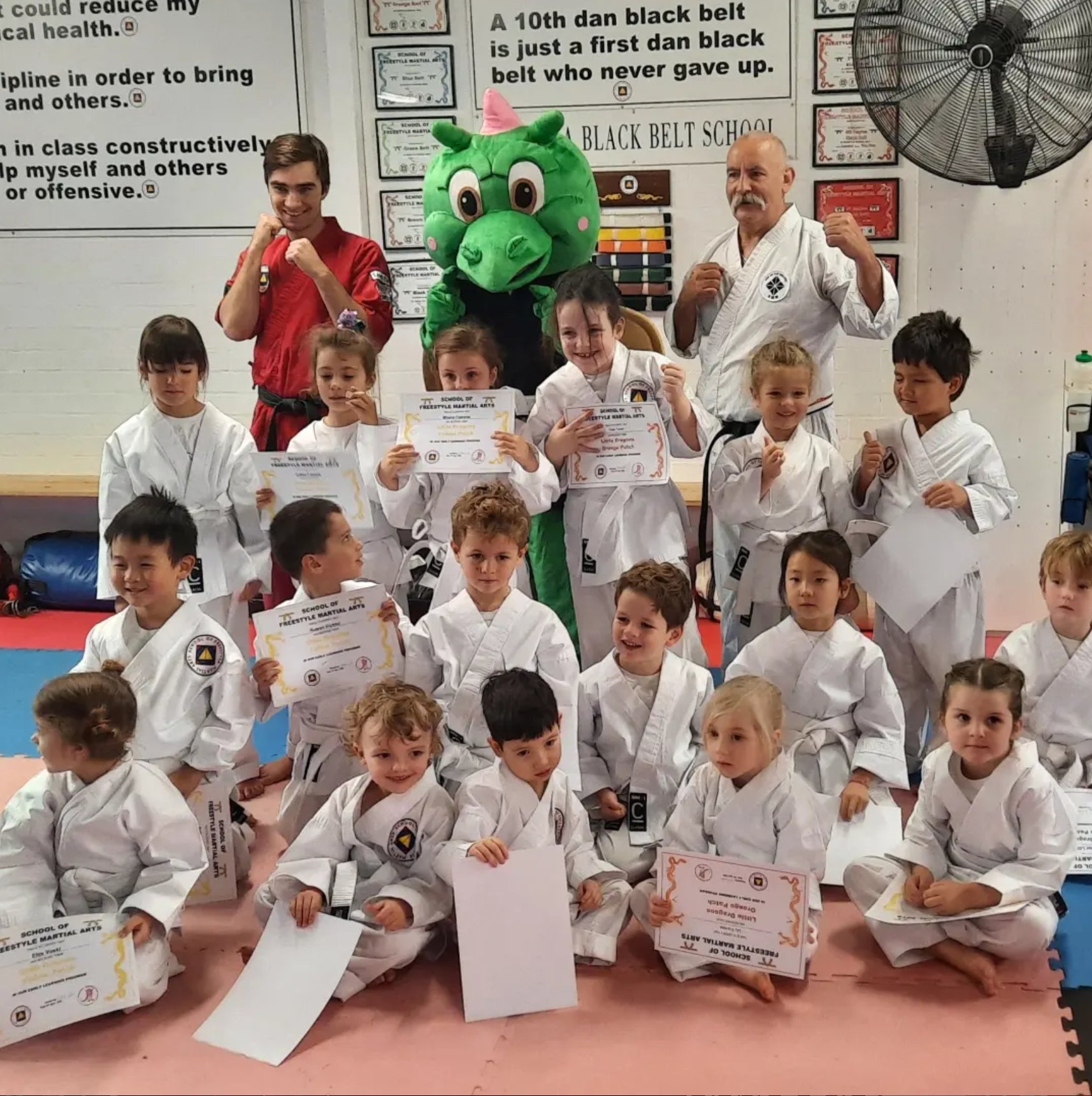 LITTLE DRAGONS