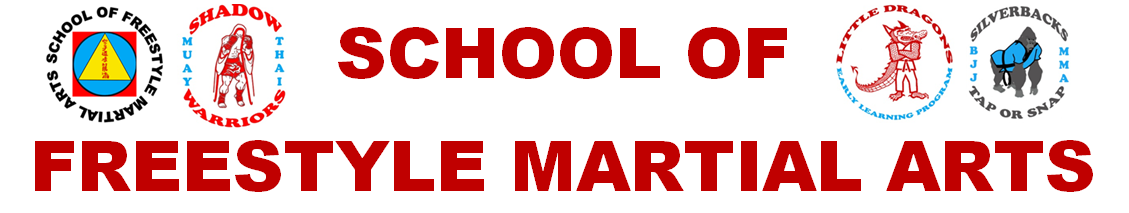 School of Freestyle Martial Arts